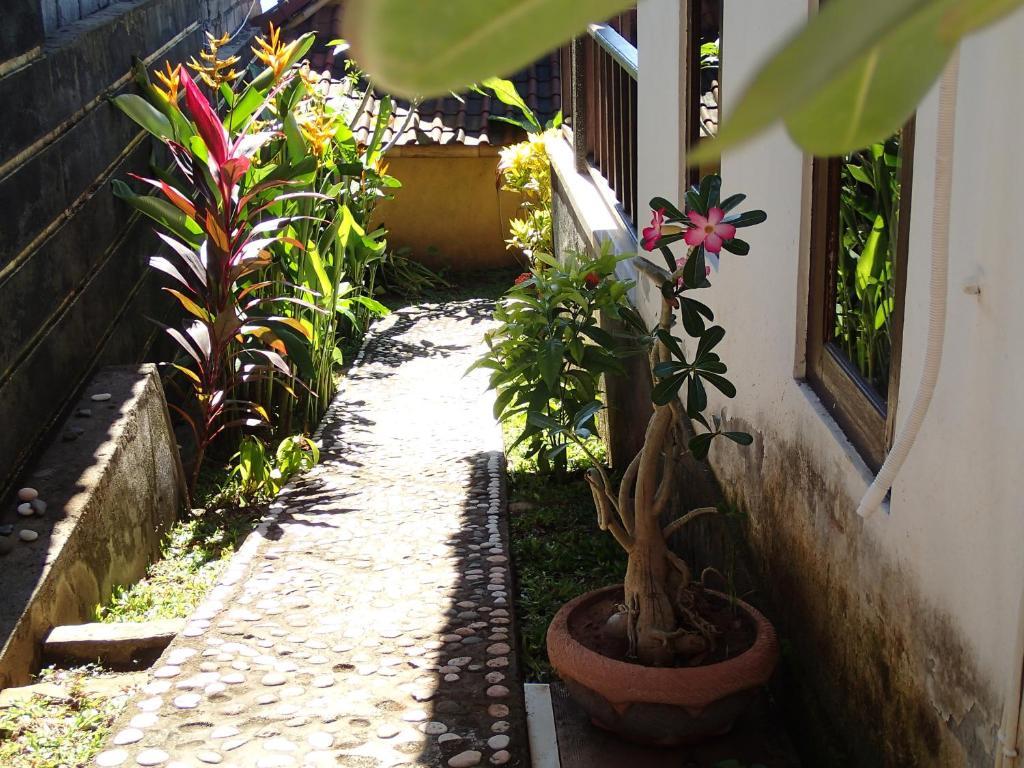 Titi Sedana Homestay Амед Номер фото